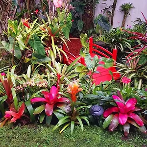  Homestay Paradise At Anthurium Hale