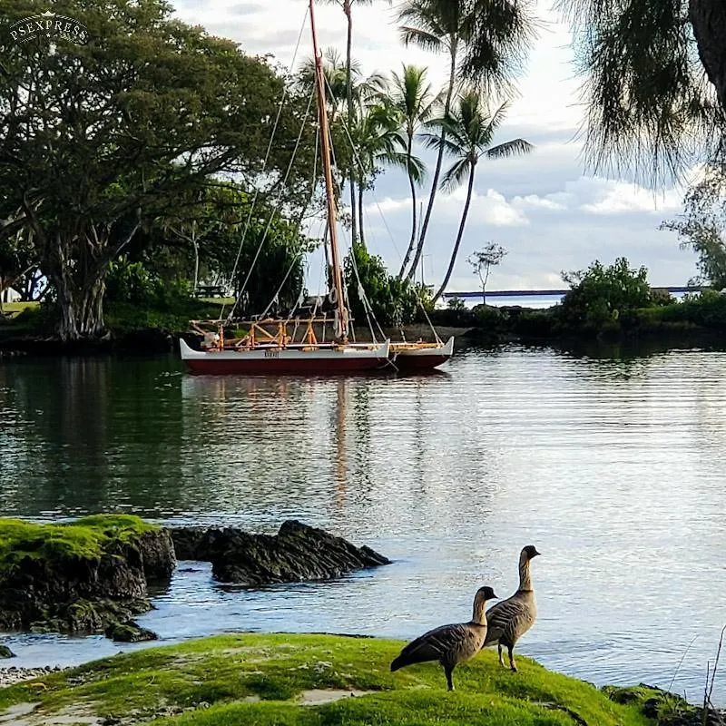 Hilo Reeds Bay Hotel 3*,  United States