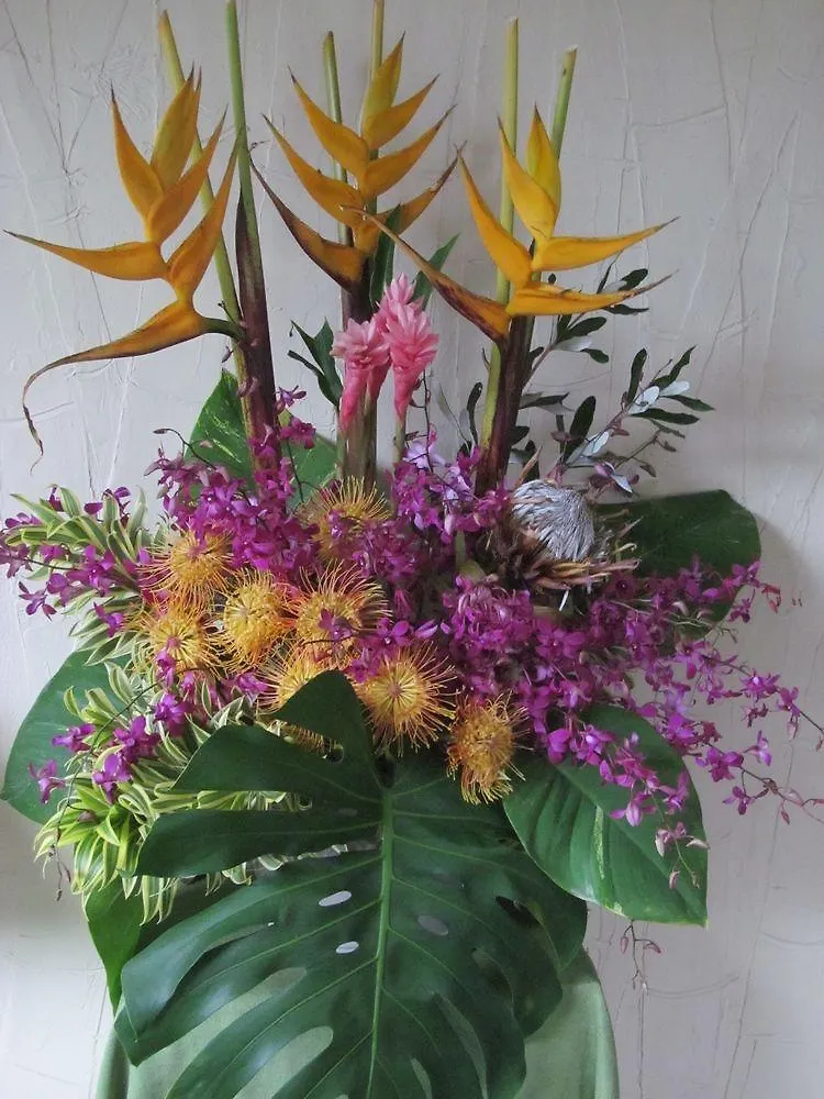 Hilo Reeds Bay Hotel