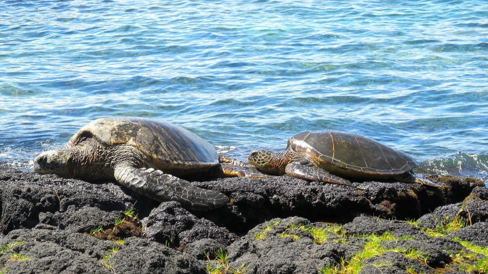 ***  Hilo Reeds Bay Hotel United States